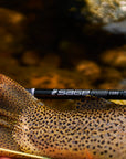 Sage R8 Core Fly Rod by Farbank Pros at Freestone Fly Shop shown near a spotted trout tail on water background
