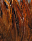 Strung Chinese 5-7 inch Saddle feathers by Hareline Dubbin Inc for precise fly tying at Freestone Fly Shop