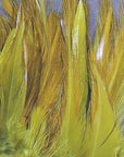 Strung Chinese 5-7 inch Saddle by Hareline Dubbin, Inc in vibrant tones for fly tying at Freestone Fly Shop