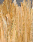 Strung Chinese 5-7 inch Saddle by Hareline Dubbin, Inc in natural tan tones for fly tying at Freestone Fly Shop