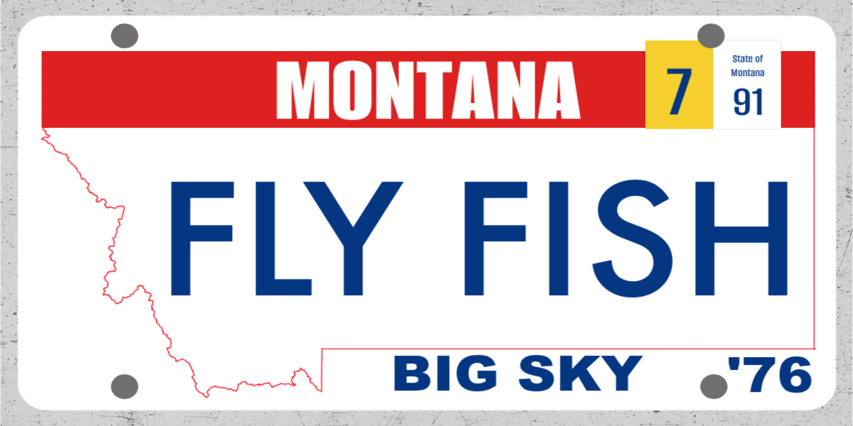 June 29th Fishing Report
