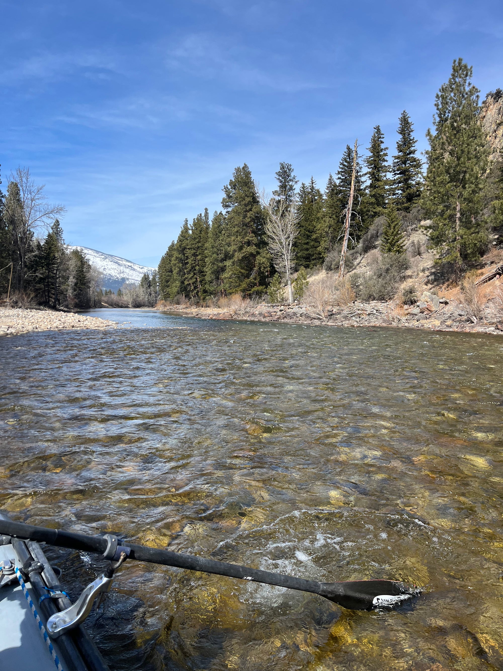 March 26 Fishing Report