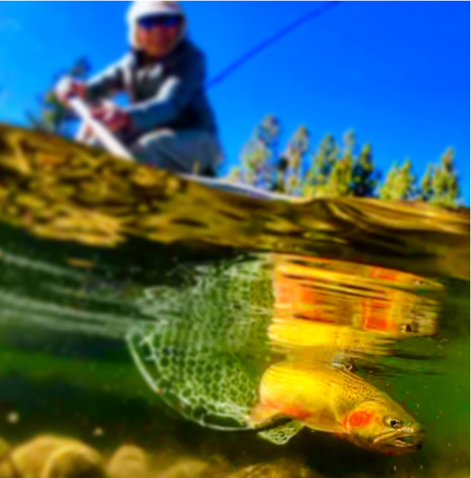 August 12th East Fork Fishing Report