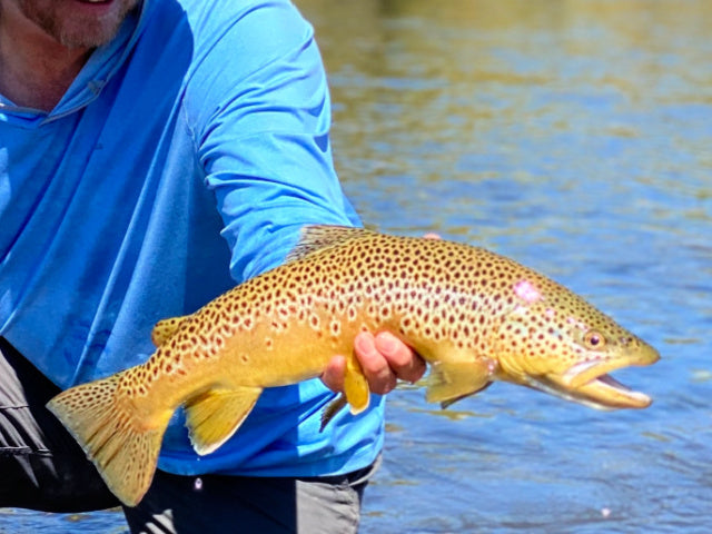 July 8th Fishing Report