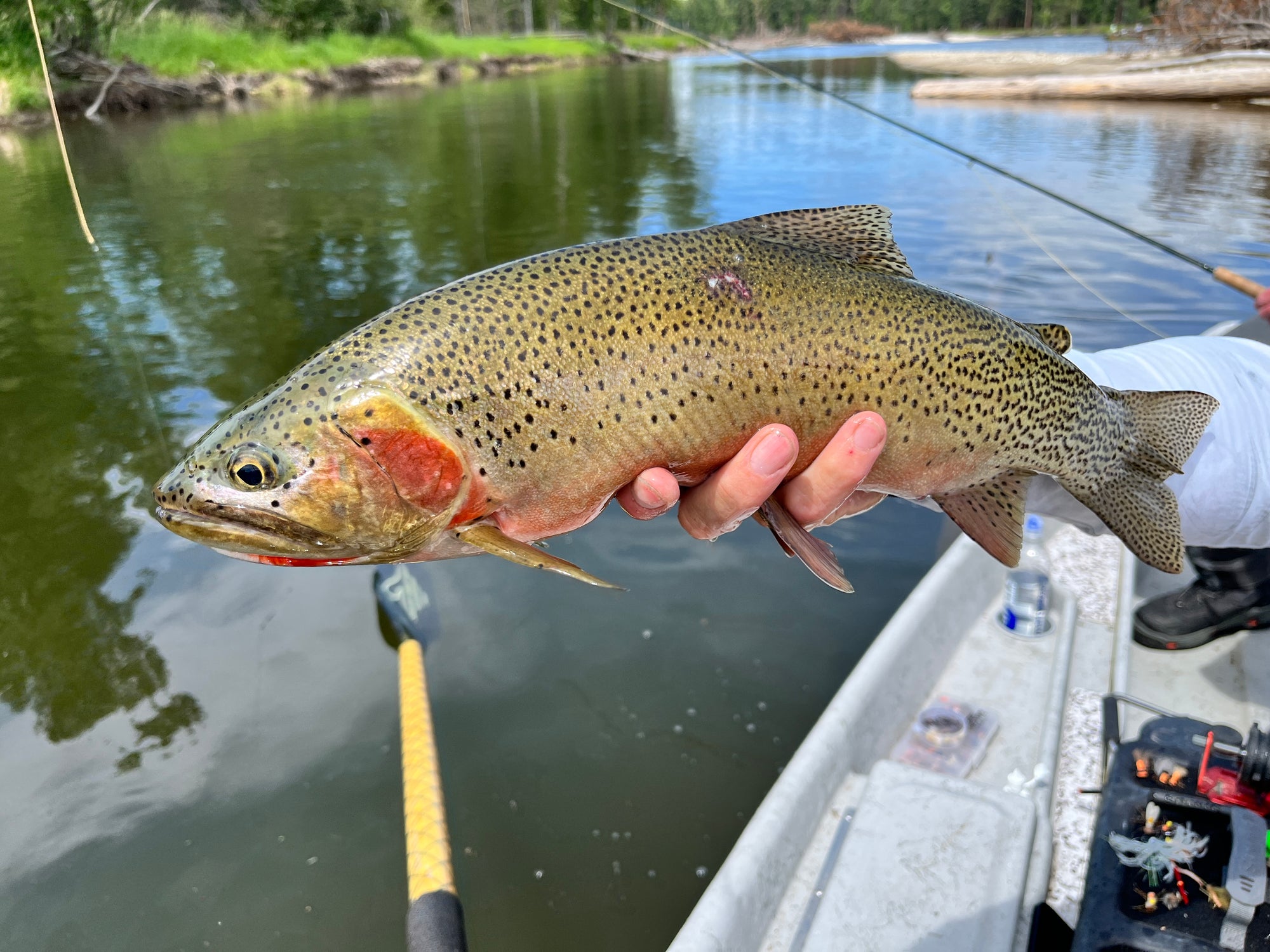 July 10th Fishing Report