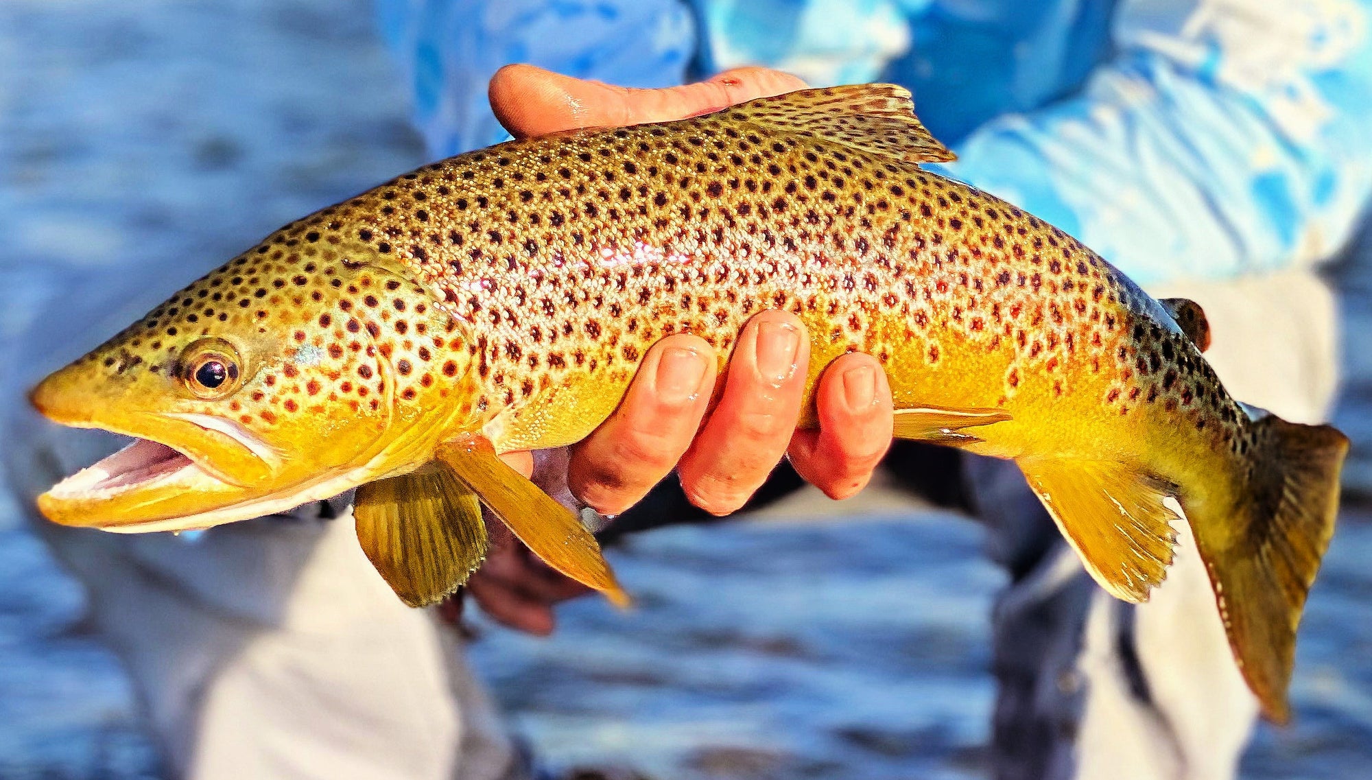 Captain Carter Bates - Senior Fly Fishing Guide