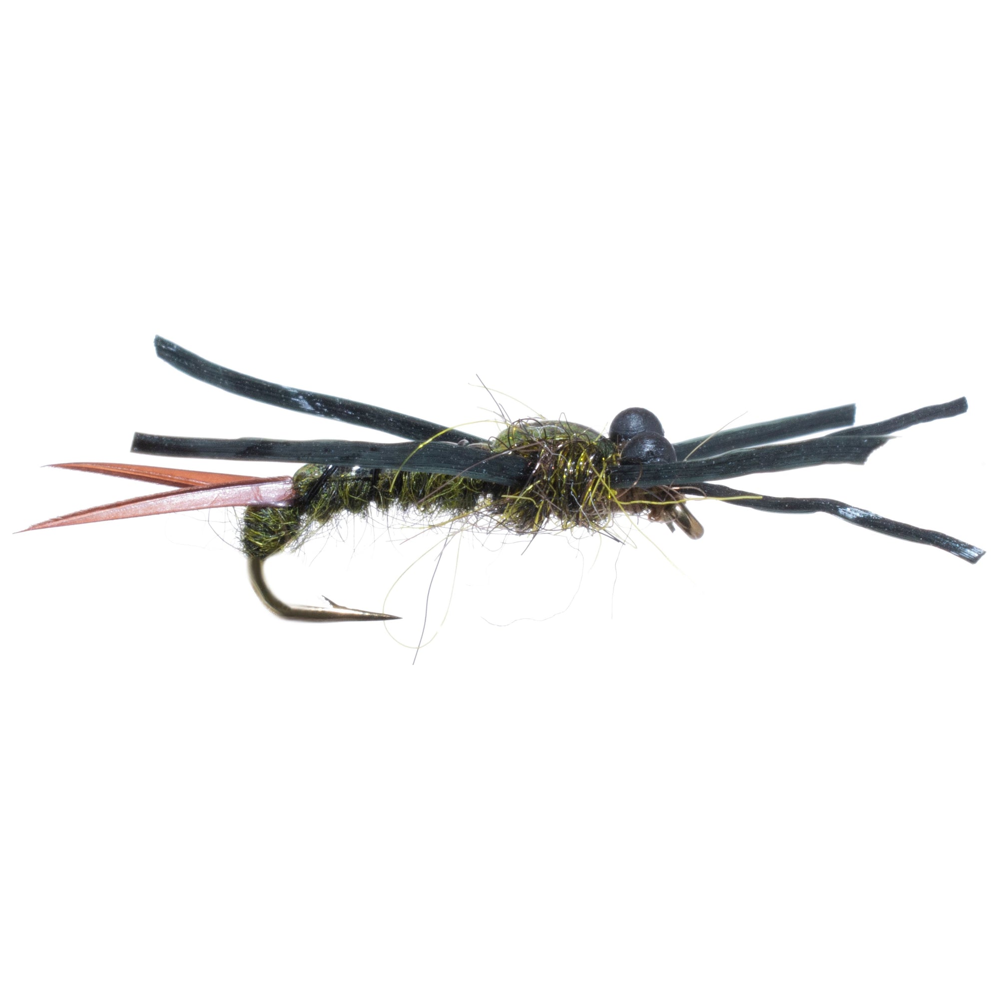 Fishing Report - West Fork of the Bitterroot