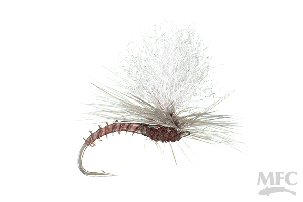 MFC Christiaens' GT Adult - Mahogany by Montana Fly Company, detailed mahogany mayfly emerger for fly fishing at Freestone Fly Shop