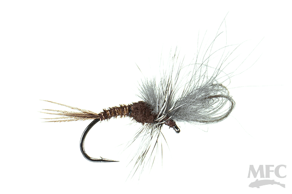 MFC Alyward's Cul De Loop Wing - Hecuba mayfly imitation by Montana Fly Company at Freestone Fly Shop for fly fishing.