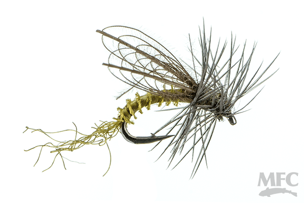 MFC CDC Winged Emerger - BWO by Montana Fly Company, realistic Blue Wing Olive mayfly imitation for fly fishing at Freestone Fly Shop