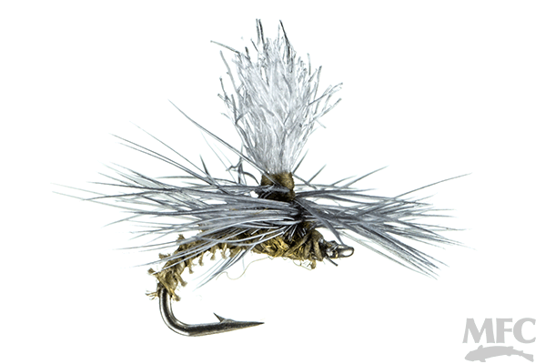 MFC Christiaens' GT Adult - BWO by Montana Fly Company, detailed mayfly emerger for fly fishing at Freestone Fly Shop