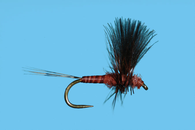 Solitude Flies - CDC Thorax Mahogany fly featuring fine materials and expert tying for fly fishing at Freestone Fly Shop