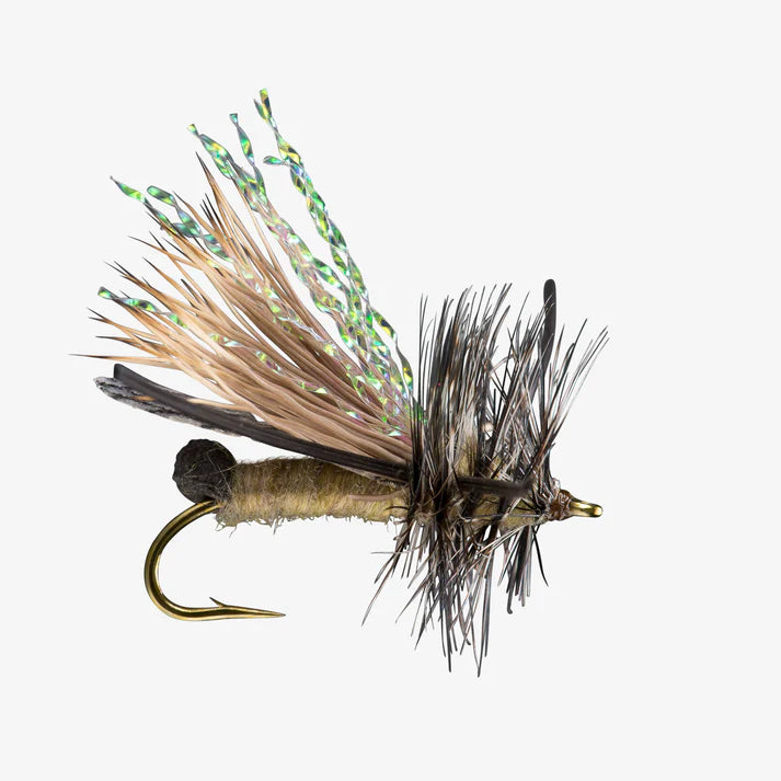 Rio Skwala Stonefly