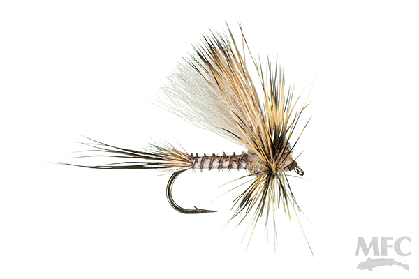 MFC Jake's Hatchback - Hecuba by Montana Fly Company, detailed mayfly fly for fly fishing at Freestone Fly Shop