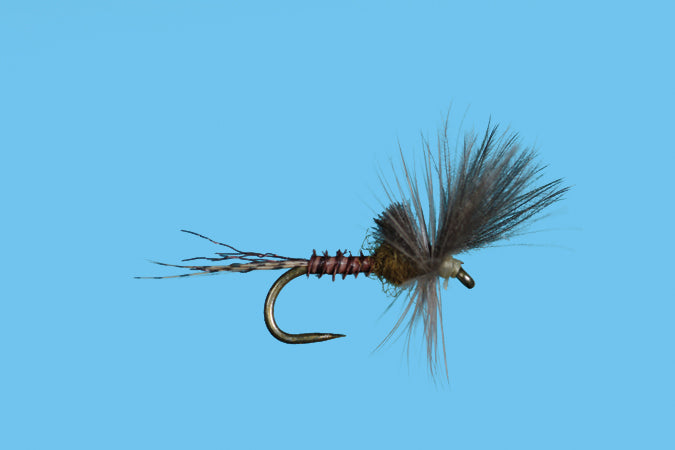 Solitude Flies - Last Chance Cripple BWO showcasing detailed tying on Daichi hook for expert fly fishing at Freestone Fly Shop