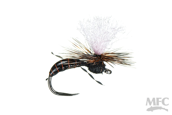 MFC Saliga's Epoxy Ant - Black by Montana Fly Company, durable ant fishing fly for fly fishing at Freestone Fly Shop
