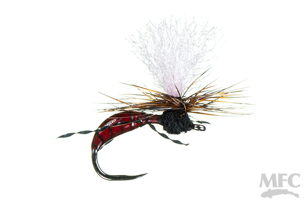 MFC Saliga's Epoxy Ant - Red/Black by Montana Fly Company, durable ant pattern for fly fishing at Freestone Fly Shop