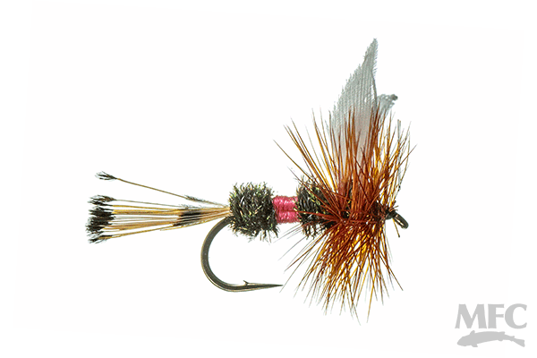MFC Royal Coachman fly by Montana Fly Company, classic attractor pattern for fly fishing at Freestone Fly Shop
