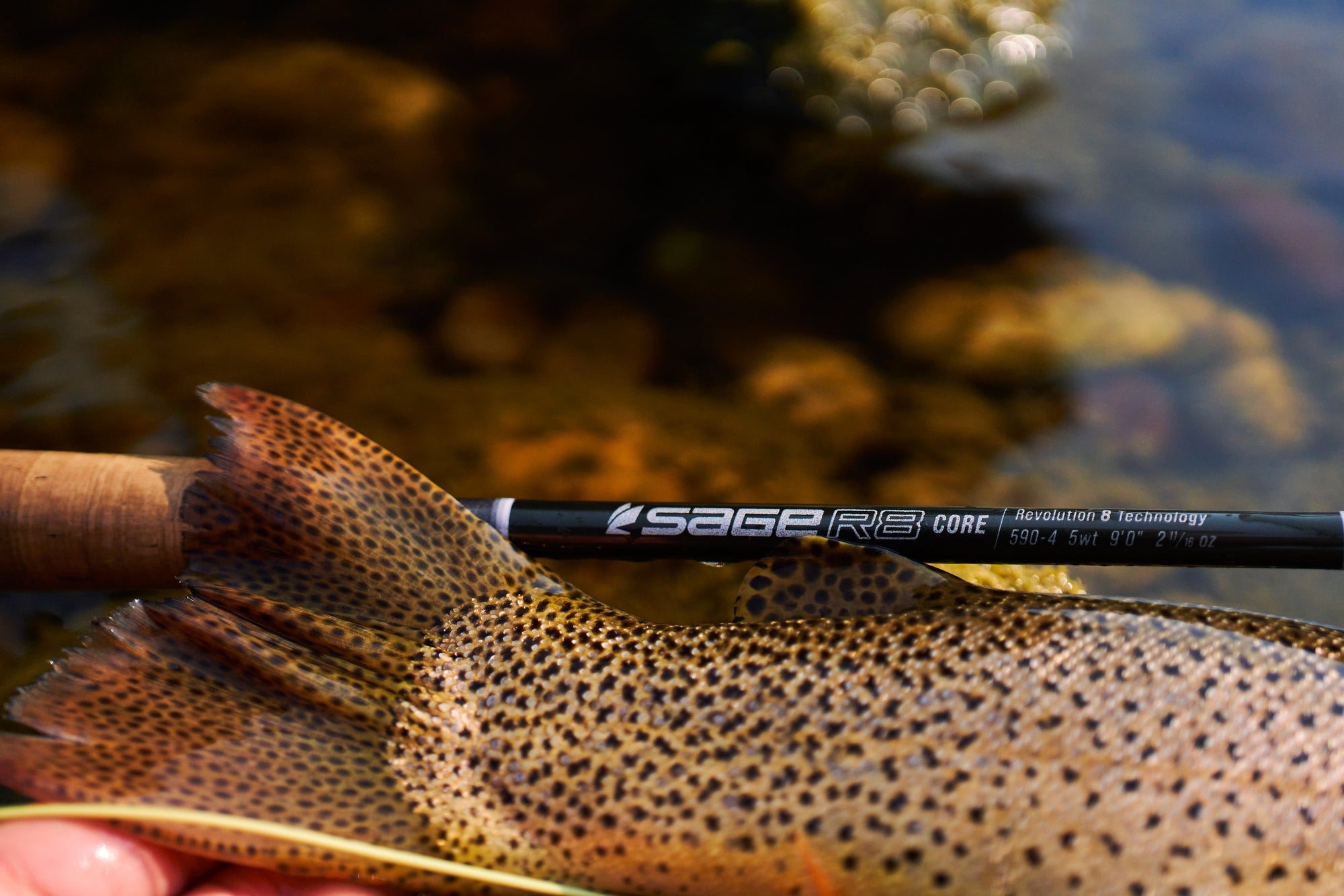 Sage R8 Core Fly Rod by Farbank Pros at Freestone Fly Shop shown near a spotted trout tail on water background