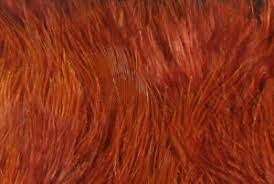 Wooly Bugger Marabou fibers in rich reddish-orange by Hareline Dubbin, Inc for Fly Tying at Freestone Fly Shop