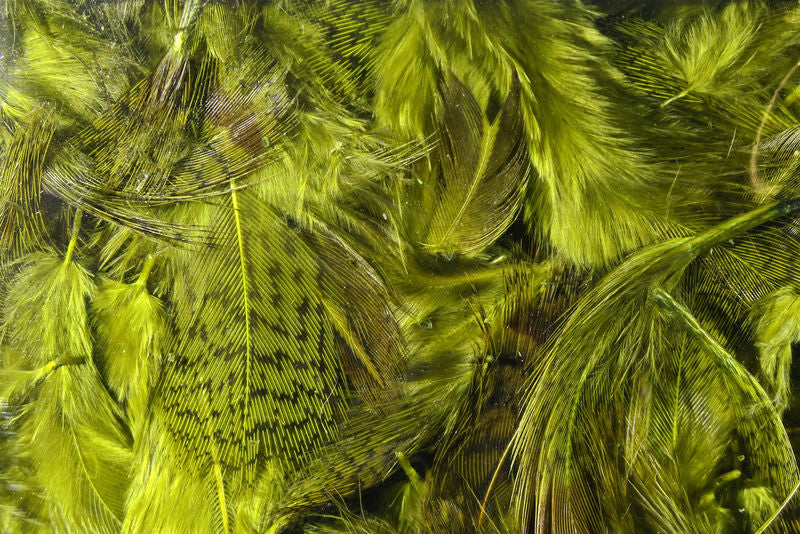Premium Partridge Feathers from Hareline Dubbin, Inc for fly tying at Freestone Fly Shop Montana fly fishing outfitter