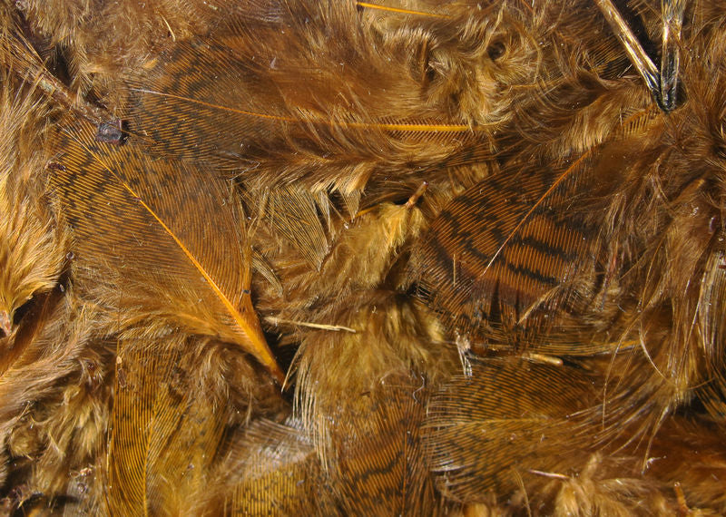 Premium Partridge Feathers by Hareline Dubbin, Inc for fly tying at Freestone Fly Shop Montana Fly Fishing Outfitter