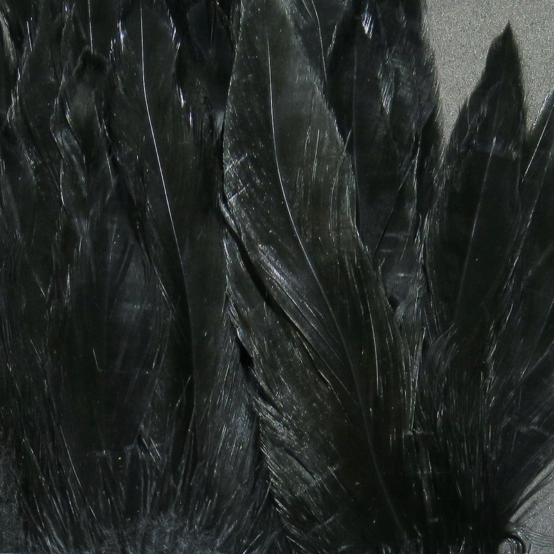 Schlappen 5-7 inch feathers by Hareline Dubbin, Inc for fly tying projects at Freestone Fly Shop