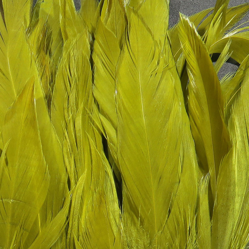 Schlappen 5-7 inch bright yellow feathers by Hareline Dubbin, Inc for fly tying at Freestone Fly Shop