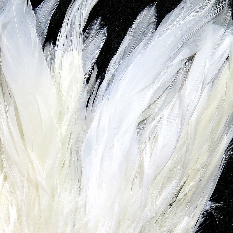 Schlappen 5-7 inch feathers by Hareline Dubbin, Inc for fly tying at Freestone Fly Shop in soft white tones