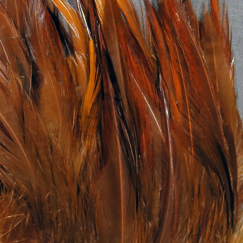 Strung Chinese 5-7 inch Saddle feathers by Hareline Dubbin Inc for precise fly tying at Freestone Fly Shop