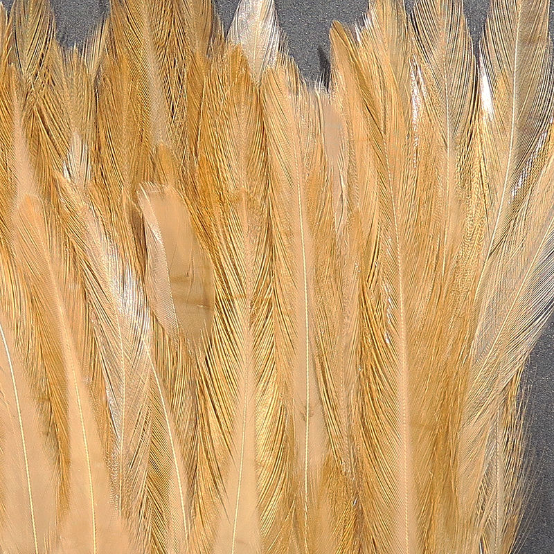 Strung Chinese 5-7 inch Saddle by Hareline Dubbin, Inc in natural tan tones for fly tying at Freestone Fly Shop