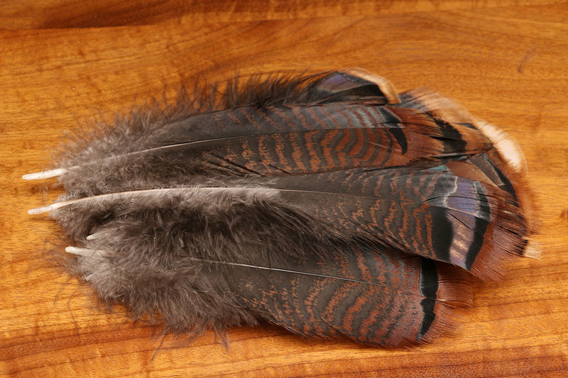 Turkey Shorts Mix by Hareline Dubbin, Inc for fly tying wing cases and legs at Freestone Fly Shop