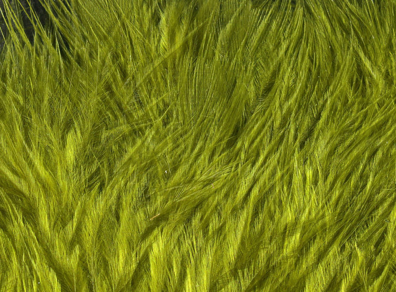 Wooly Bugger Marabou in chartreuse by Hareline Dubbin, Inc for fly tying at Freestone Fly Shop