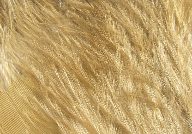 Wooly Bugger Marabou fibers in natural beige by Hareline Dubbin, Inc for Fly Tying at Freestone Fly Shop
