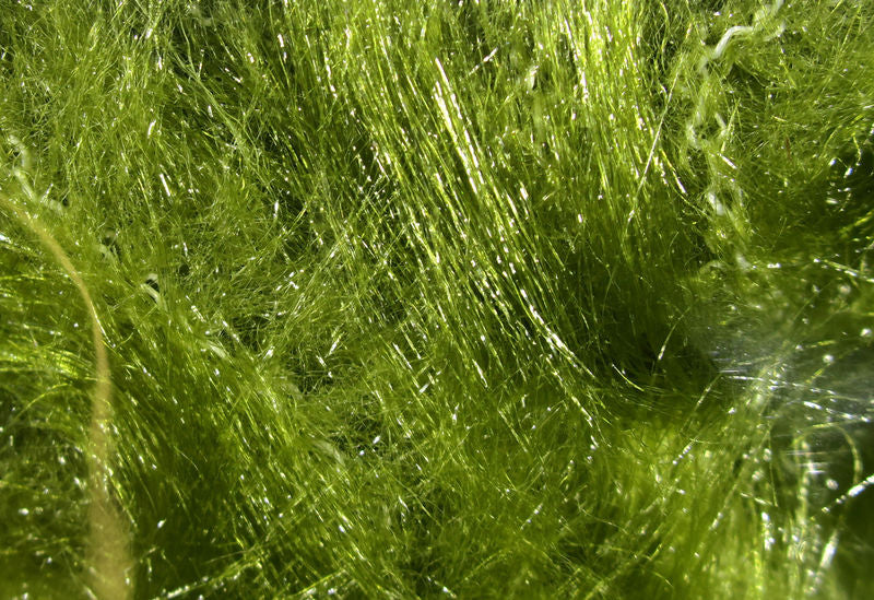 Wire Free Synthetic Fox Brushes by Hareline Dubbin, Inc for fly tying at Freestone Fly Shop